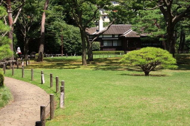 公園　殿ケ谷戸公園（公園）まで567m