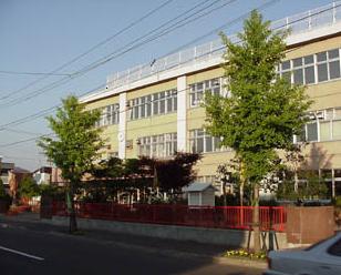 小学校　札幌市立新陵小学校（小学校）まで507m