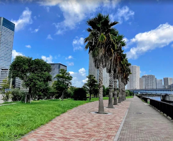 公園　晴海緑道公園（公園）まで728m