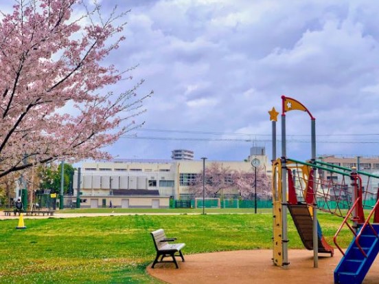公園　中野区立南台いちょう公園（公園）まで486m