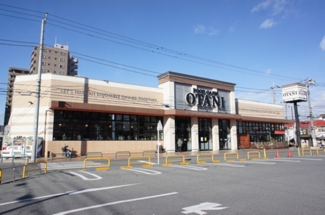 スーパー　オータニ自治医大店（スーパー）まで344m