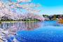 公園　上野恩賜公園（公園）まで800m