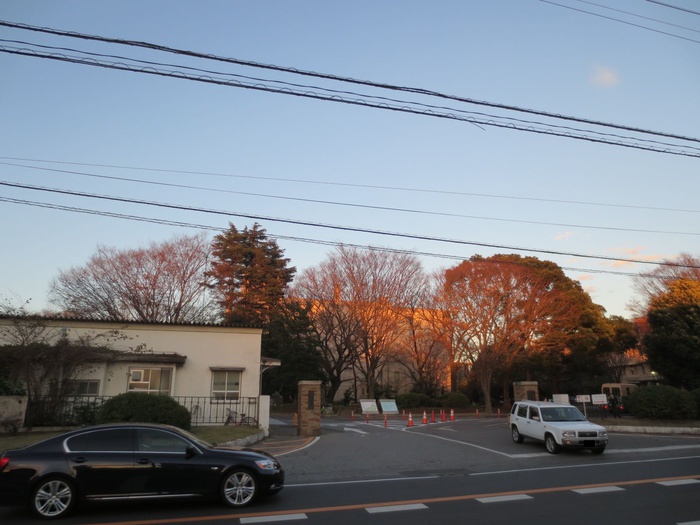 大学・短大　千葉大学　亥鼻キャンパス（大学・短大）まで500m