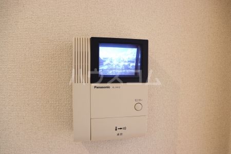 ルミナスのその他写真