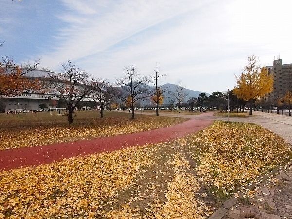 公園　三萩野公園・メディアドーム（公園）まで100m