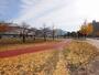 公園　三萩野公園・メディアドーム（公園）まで100m