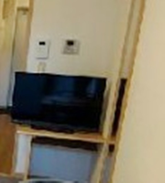 レオパレスKIVAの玄関写真