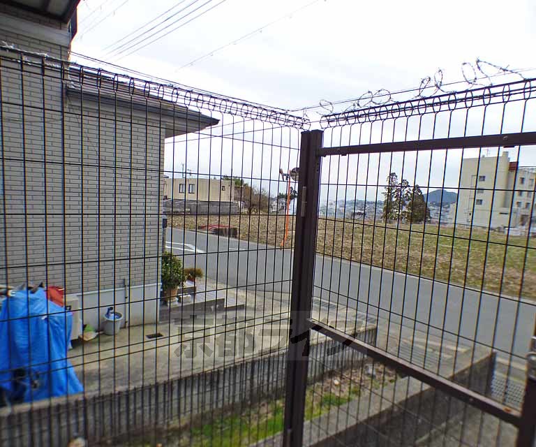 シェモアのその他写真