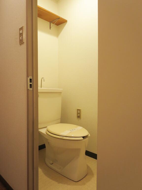 グリーンハイツ小柳のトイレ写真