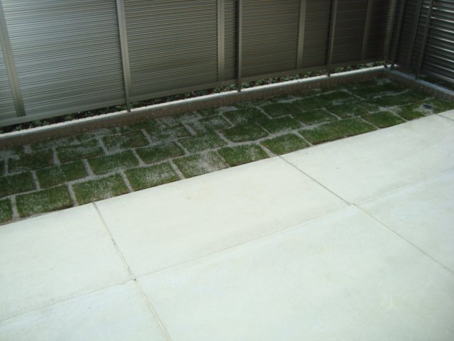 庭　専用庭