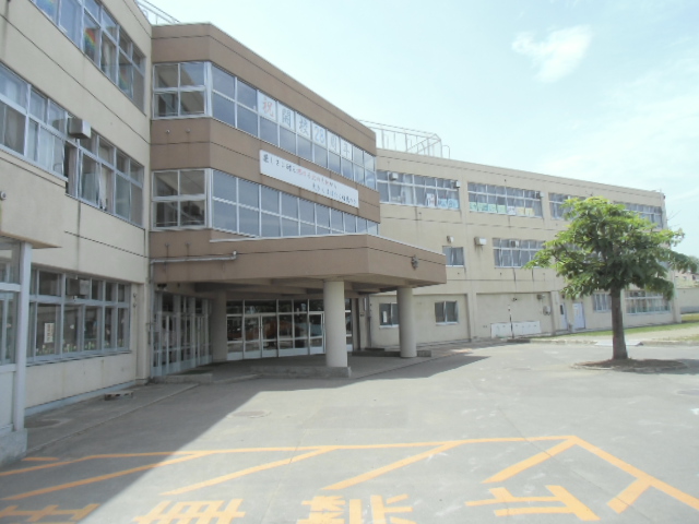 小学校　札幌市立稲穂小学校（小学校）まで576m