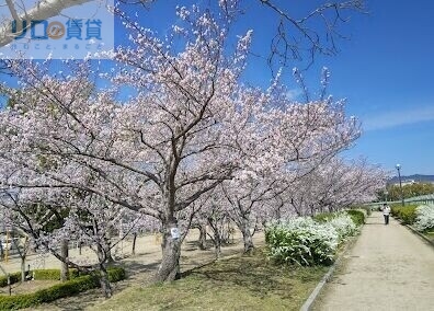 公園　瑞ケ池公園（公園）まで987m