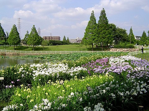 【グリーンアベニューの公園】