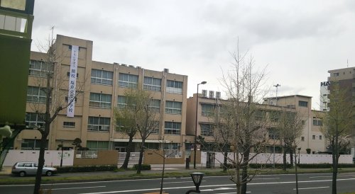 【桜川パークマンションの小学校】