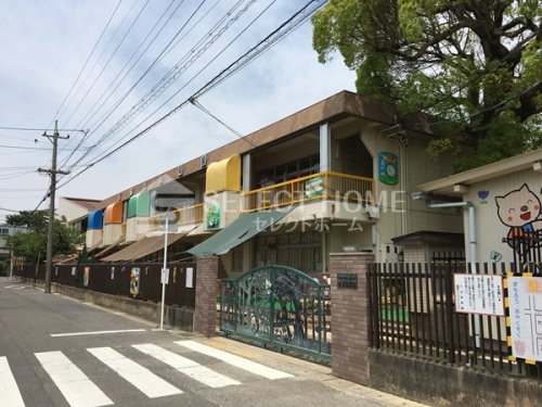 【向山町貸家の幼稚園・保育園】