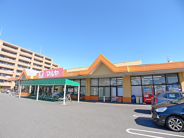 スーパー　マルヤ登戸店（スーパー）まで300m