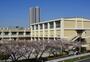 小学校　葛飾区立金町小学校（小学校）まで500m