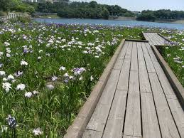 【福山市能島のアパートの公園】