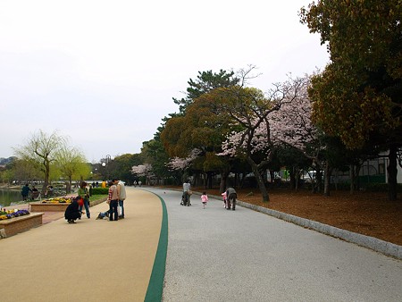 【福岡市中央区草香江のマンションの公園】