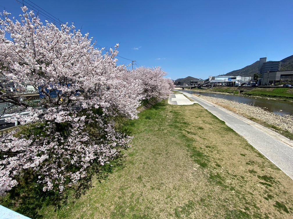 【サンヒルズ Y・Ｋの公園】