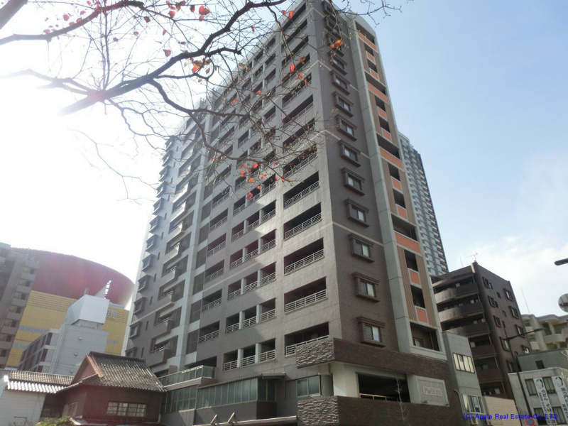 フェルト515の建物外観