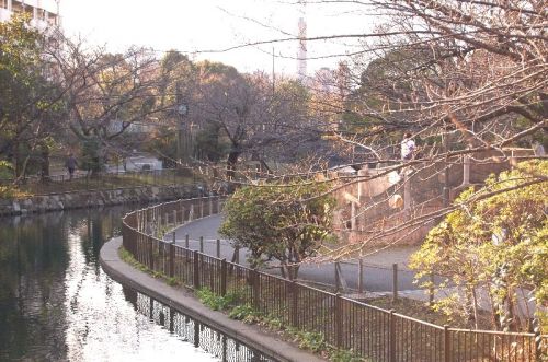 【江東区南砂のマンションの公園】