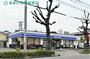 コンビニ　ローソン中岡崎店（コンビニ）まで507m