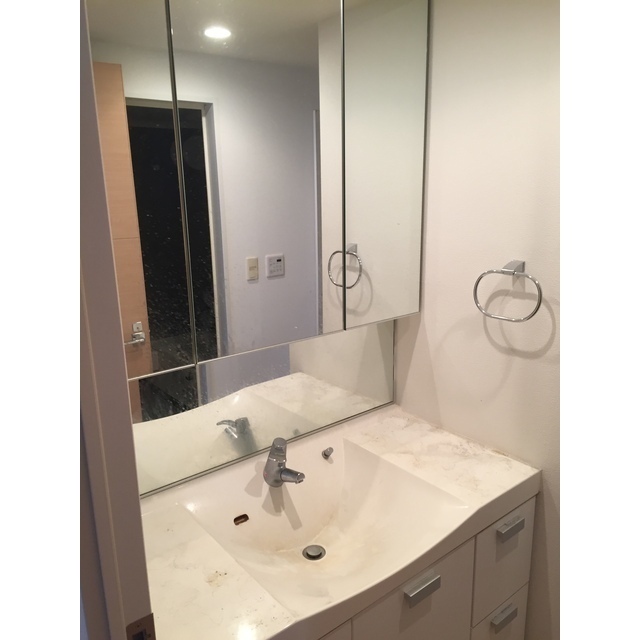 洗面設備　※別部屋参考写真