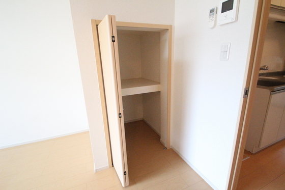 収納　※別部屋の写真です