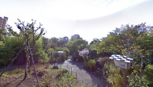 公園　向島百花園（公園）まで428m