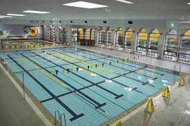 その他　中野区立鷺宮体育館 温水プール（その他）まで503m