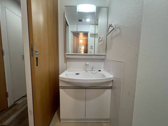 洗面設備　※別部屋の写真です