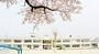 小学校　伊勢崎市立南小学校（小学校）まで1724m