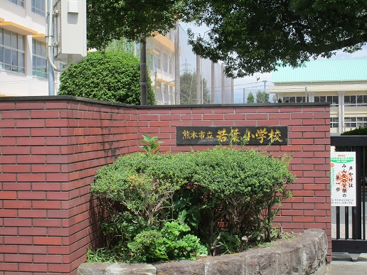 小学校　熊本市立若葉小学校（小学校）まで702m