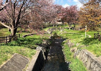 【アルファスクエア福住2条の公園】