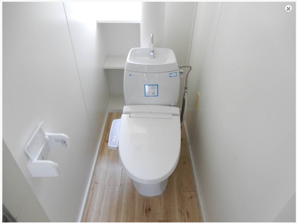 ビレッジハウス平沼ノ内2号棟のトイレ写真