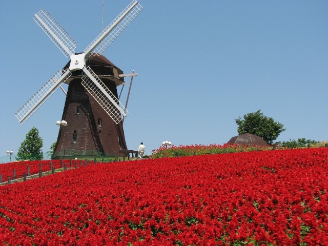 公園　鶴見緑地（公園）まで889m