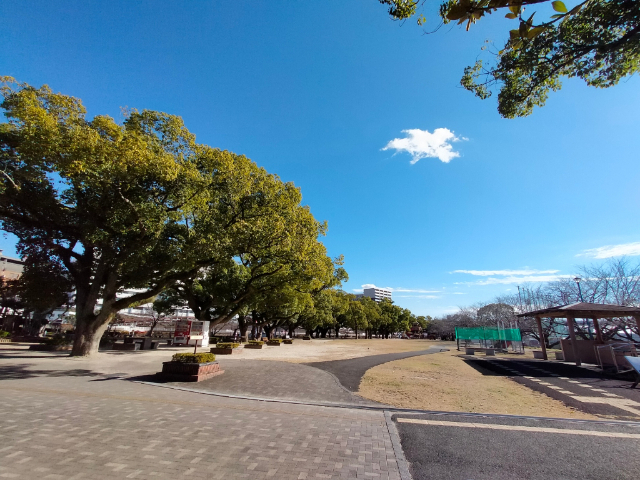 公園　新公園（公園）まで566m