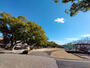 公園　新公園（公園）まで566m