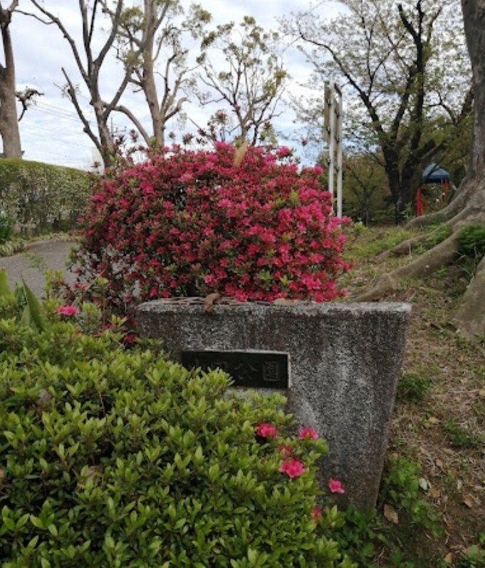 【たまプラーザ団地の公園】