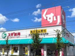 ドラックストア　スギ薬局清洲店（ドラッグストア）まで853m