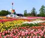 公園　砺波チューリップ公園（公園）まで1790m