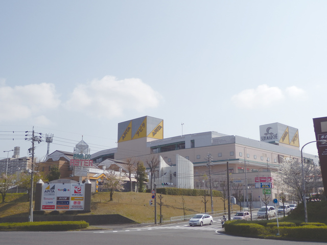 ショッピングセンター　アピタ（ショッピングセンター）まで300m