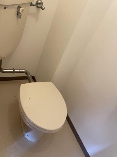 グリーンコーポミエノのトイレ写真