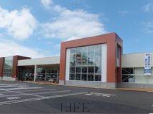 ショッピングセンター　月寒東ショッピングセンター（ショッピングセンター）まで1179m