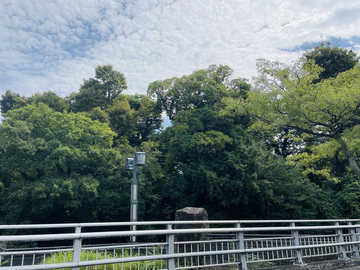 公園　水元公園（公園）まで1300m