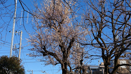 公園　長崎公園（公園）まで152m