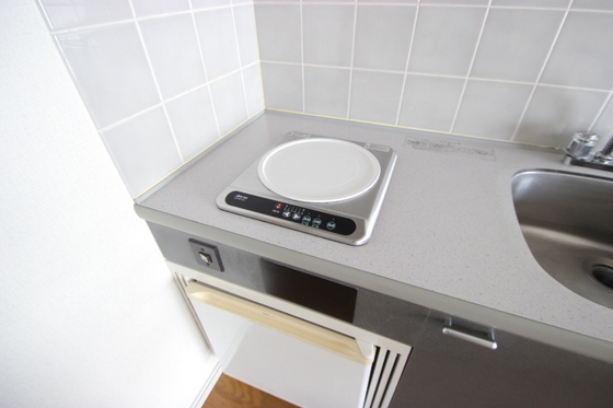 キッチン　※別号室の写真です