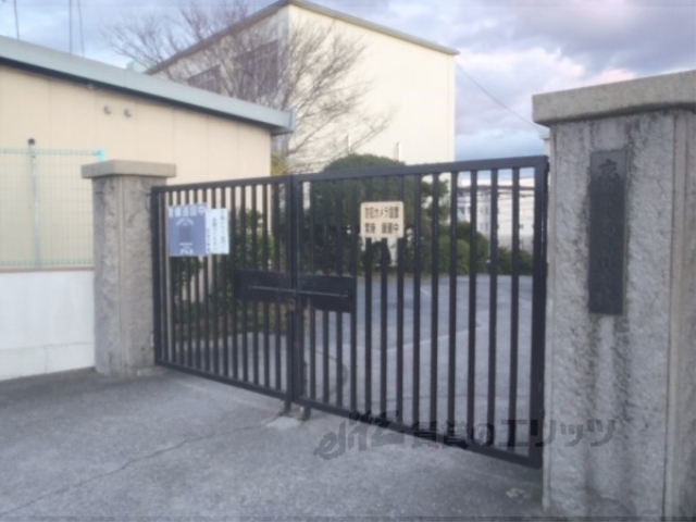 小学校　向島小学校（小学校）まで700m