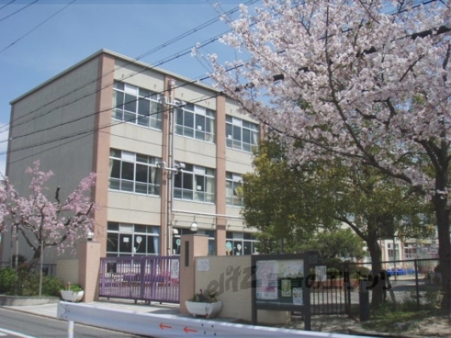 小学校　朱雀第八小学校（小学校）まで330m